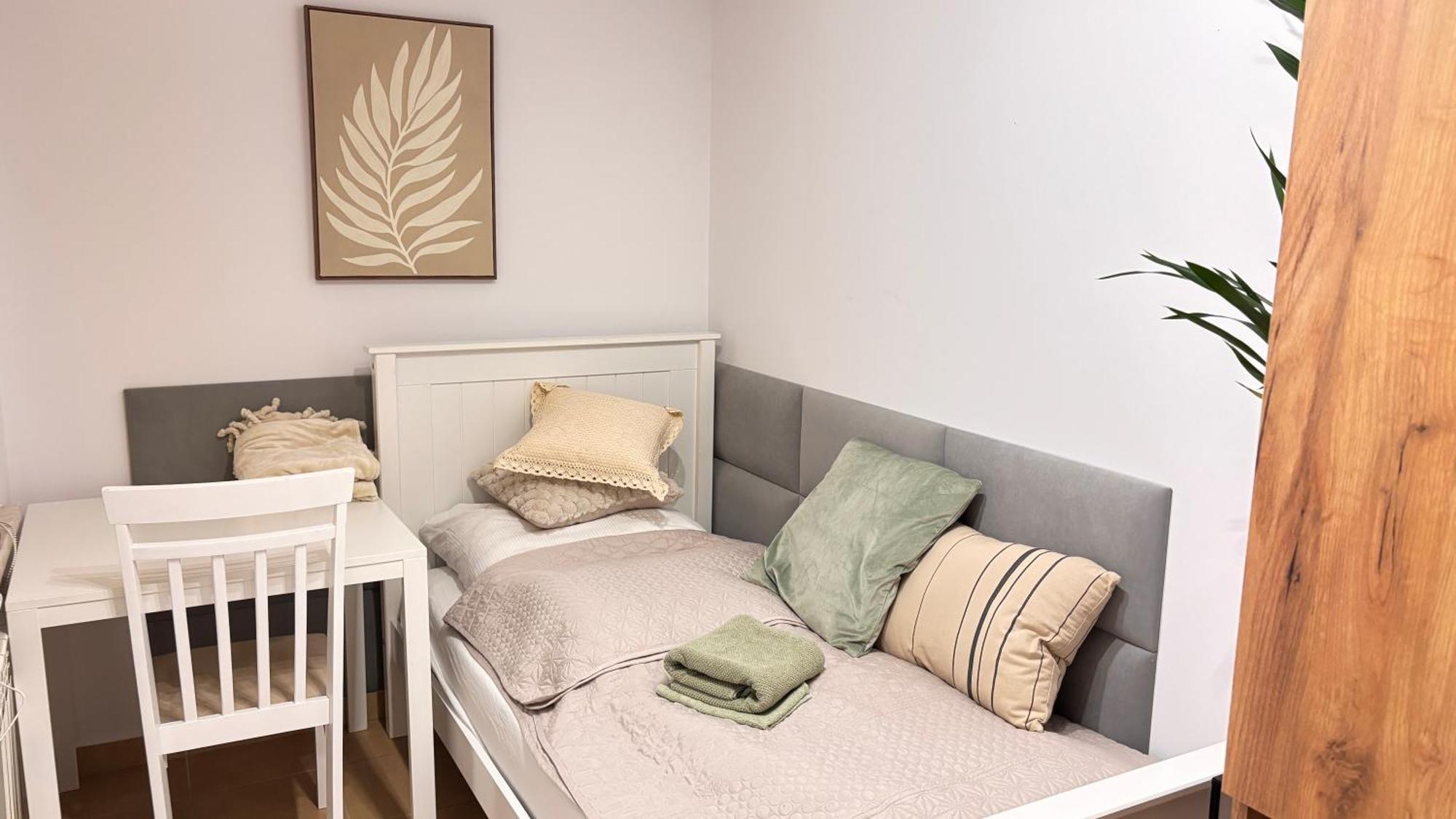 Apartament Boho Stare Miasto 노비 삭츠 외부 사진